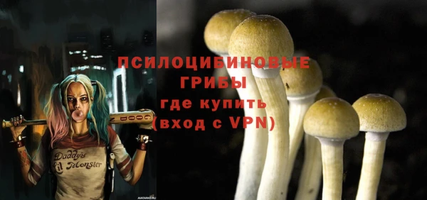 a pvp Армянск