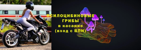 не бодяженный Арсеньев