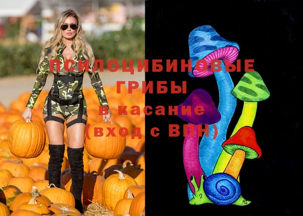 не бодяженный Арсеньев